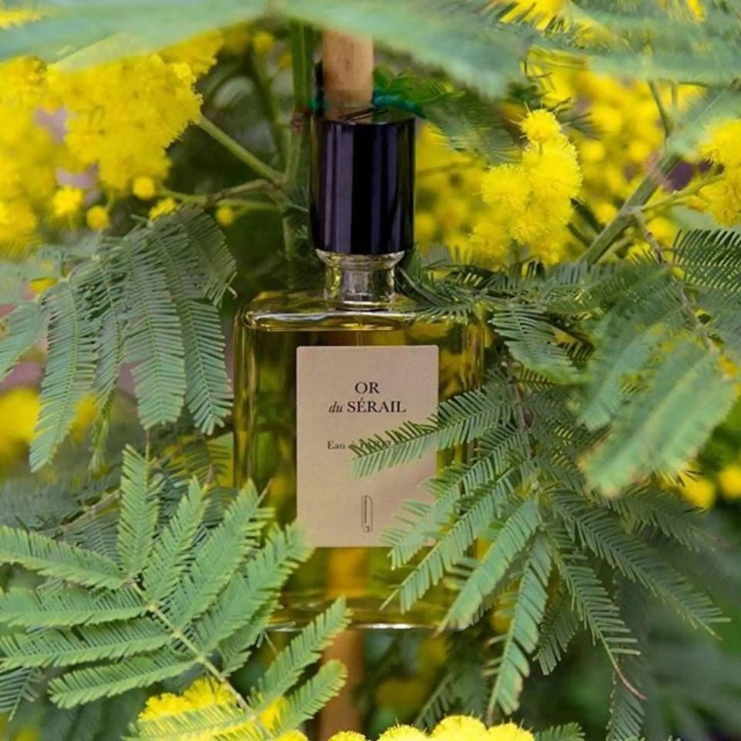 NAOMI GOODSIR Or du Sérail eau de parfum 50 ml