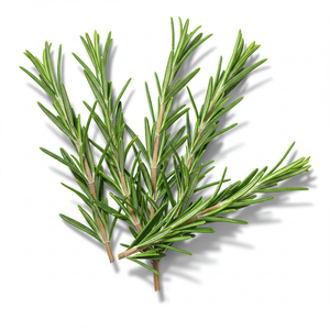 Rosemary