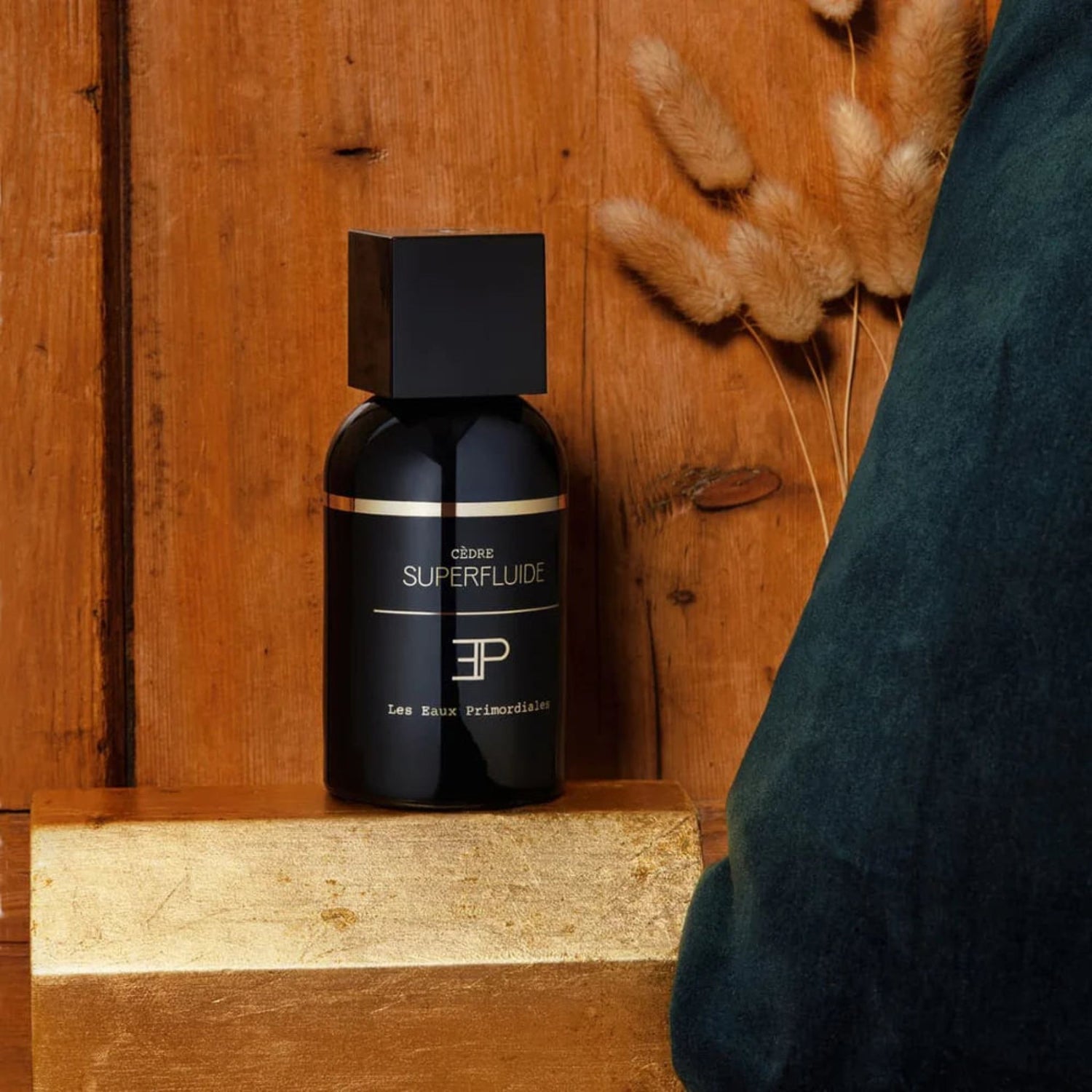 LES EAUX PRIMORDIALES