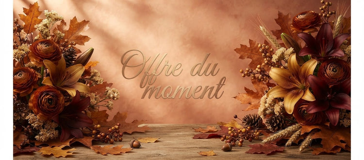 Offres du moment