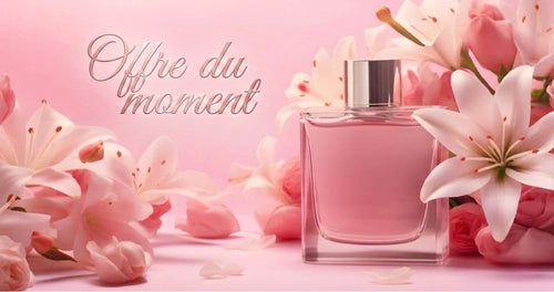 Offres du moment