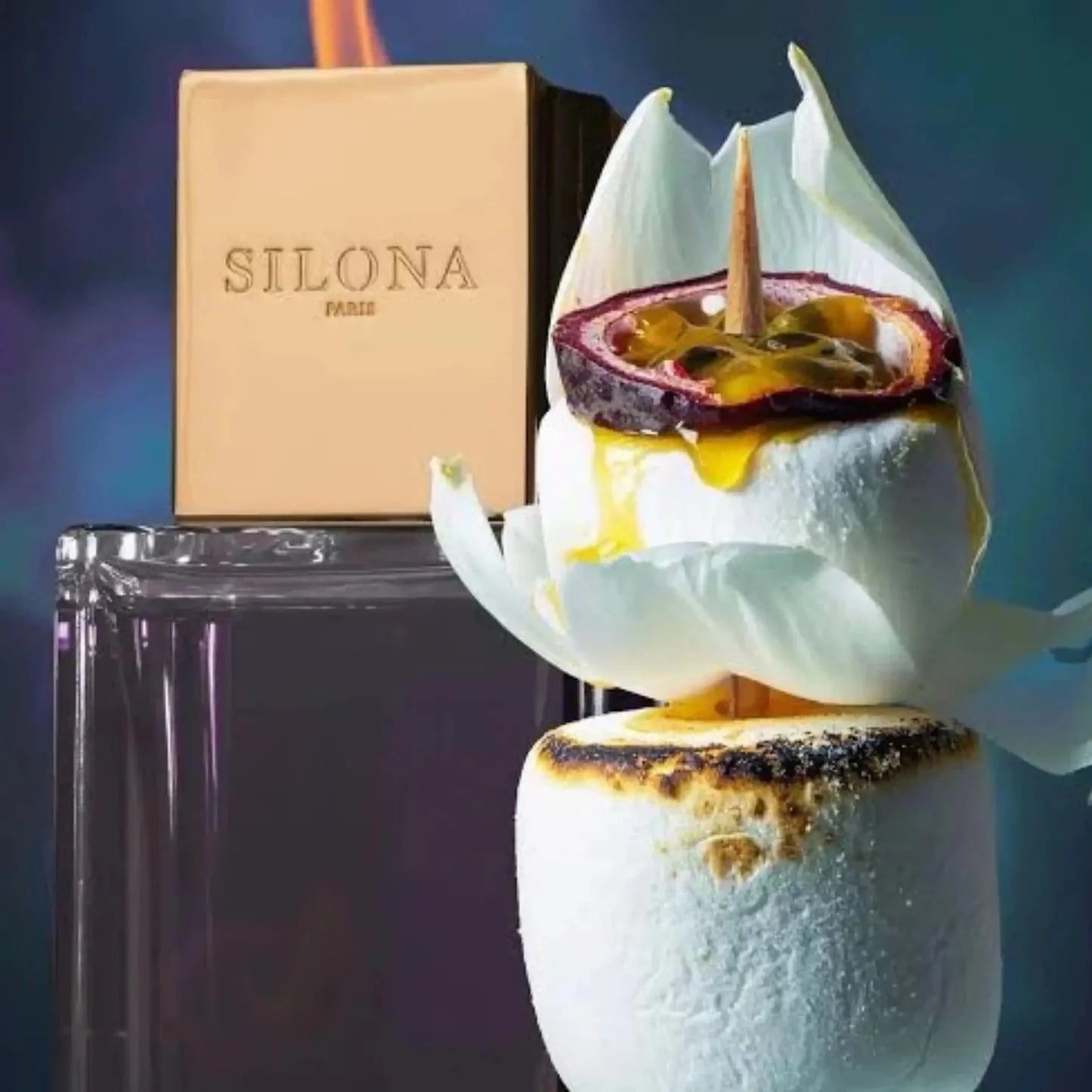 SILONA PARIS