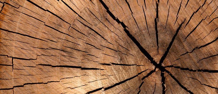 Parfums Boisés / Fumés