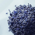 MATIÈRE PREMIÈRE Metal Lavender Eau de Parfum — brassée de lavande séchée, matière première du parfum, aromatique lavande, parfum niche de Grasse
