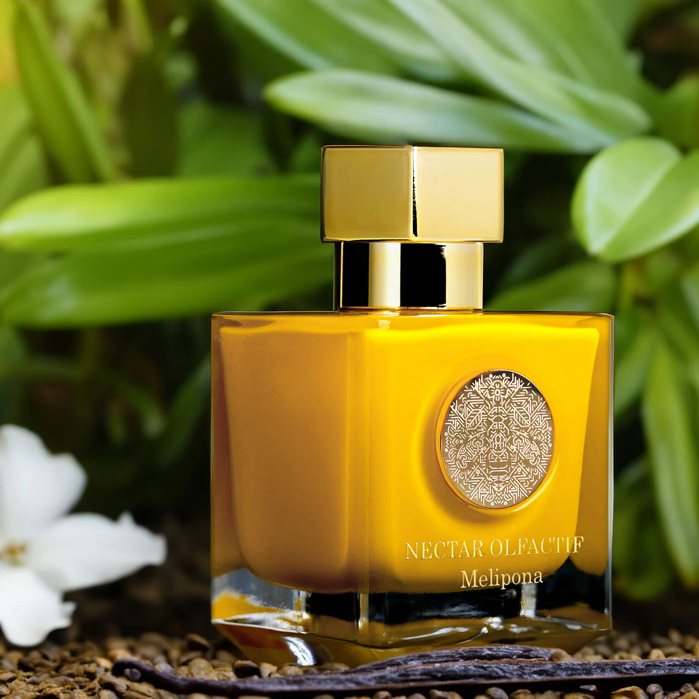 Nectar Olfactif Melipona extrait de parfum