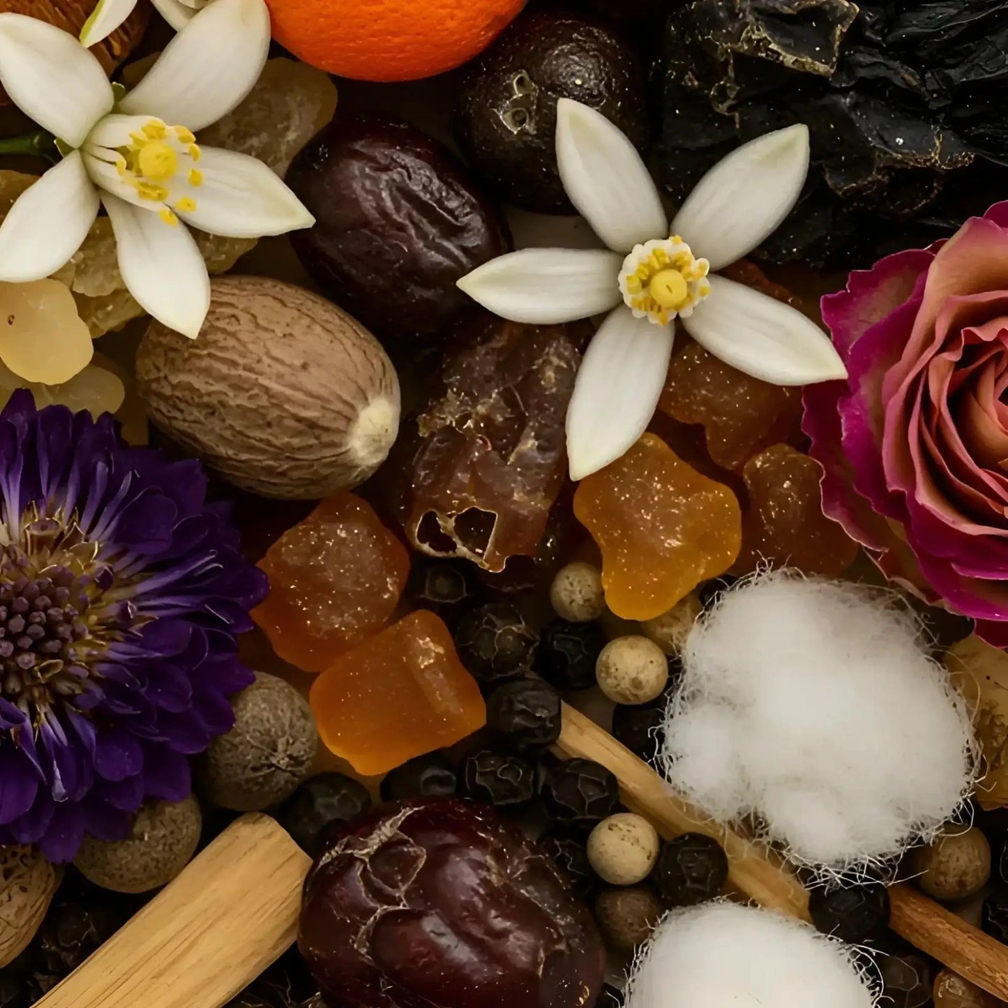 Bohoboco Vanilla Black Pepper Eau de parfum 50 ml