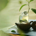 D’ANNAM Pomelo Oolong eau de parfum 50 ml