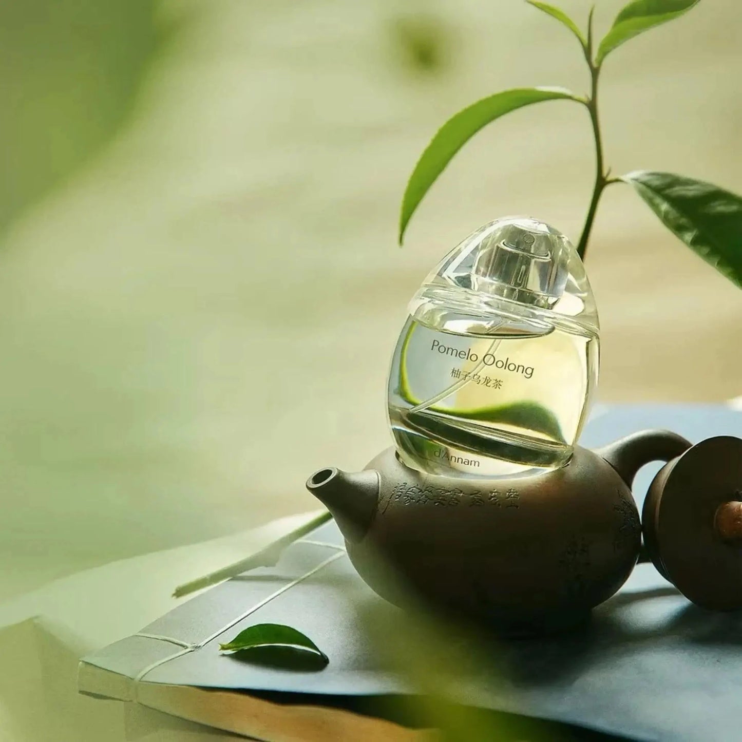 D’ANNAM Pomelo Oolong eau de parfum 50 ml