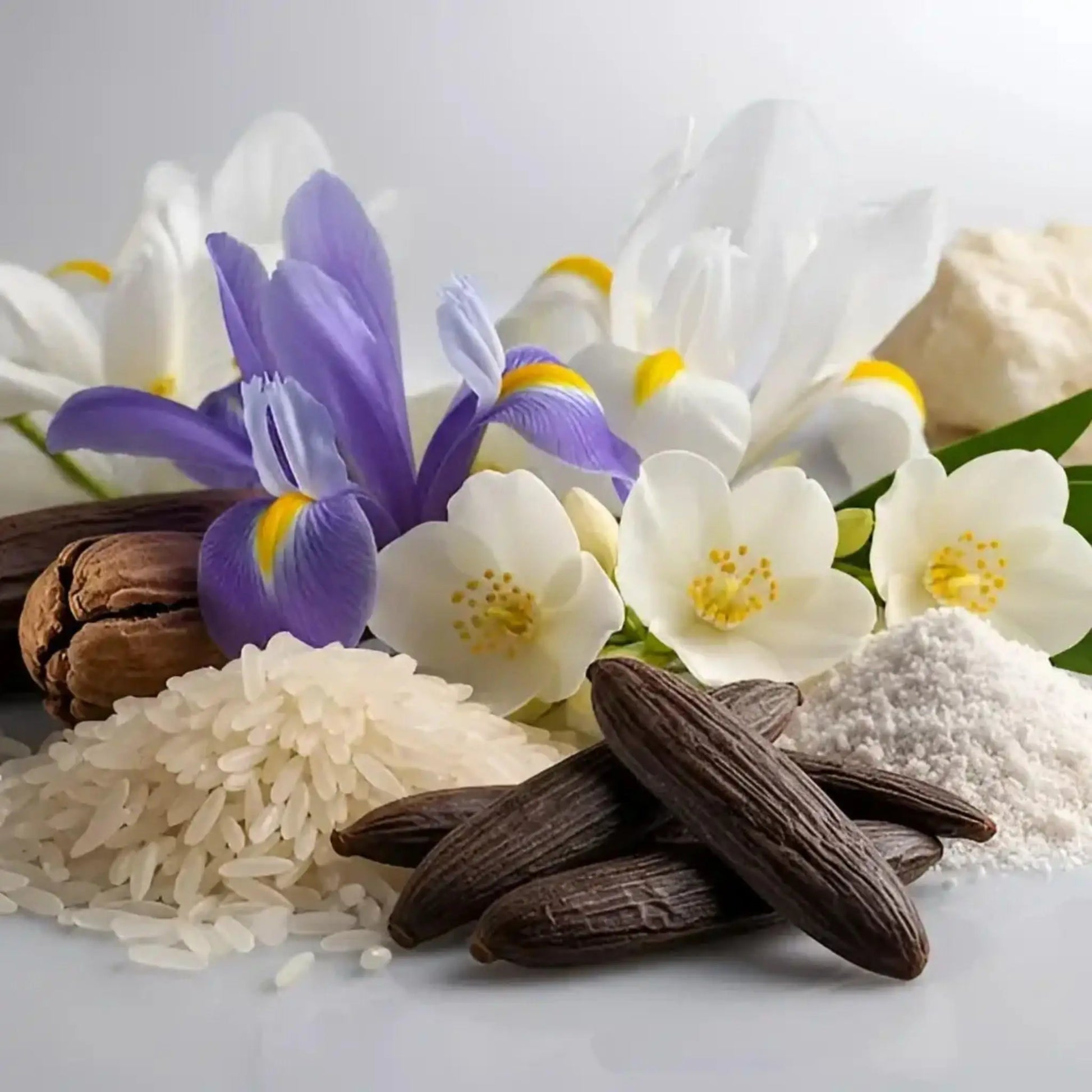 D’ANNAM White Rice eau de parfum 50 ml