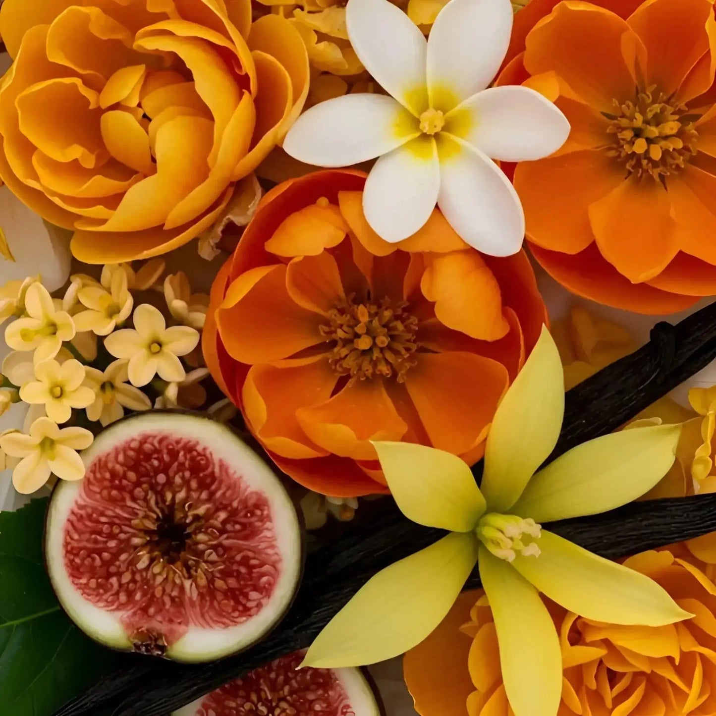 Les eaux primordiales Magnolia Supercritique eau de parfum