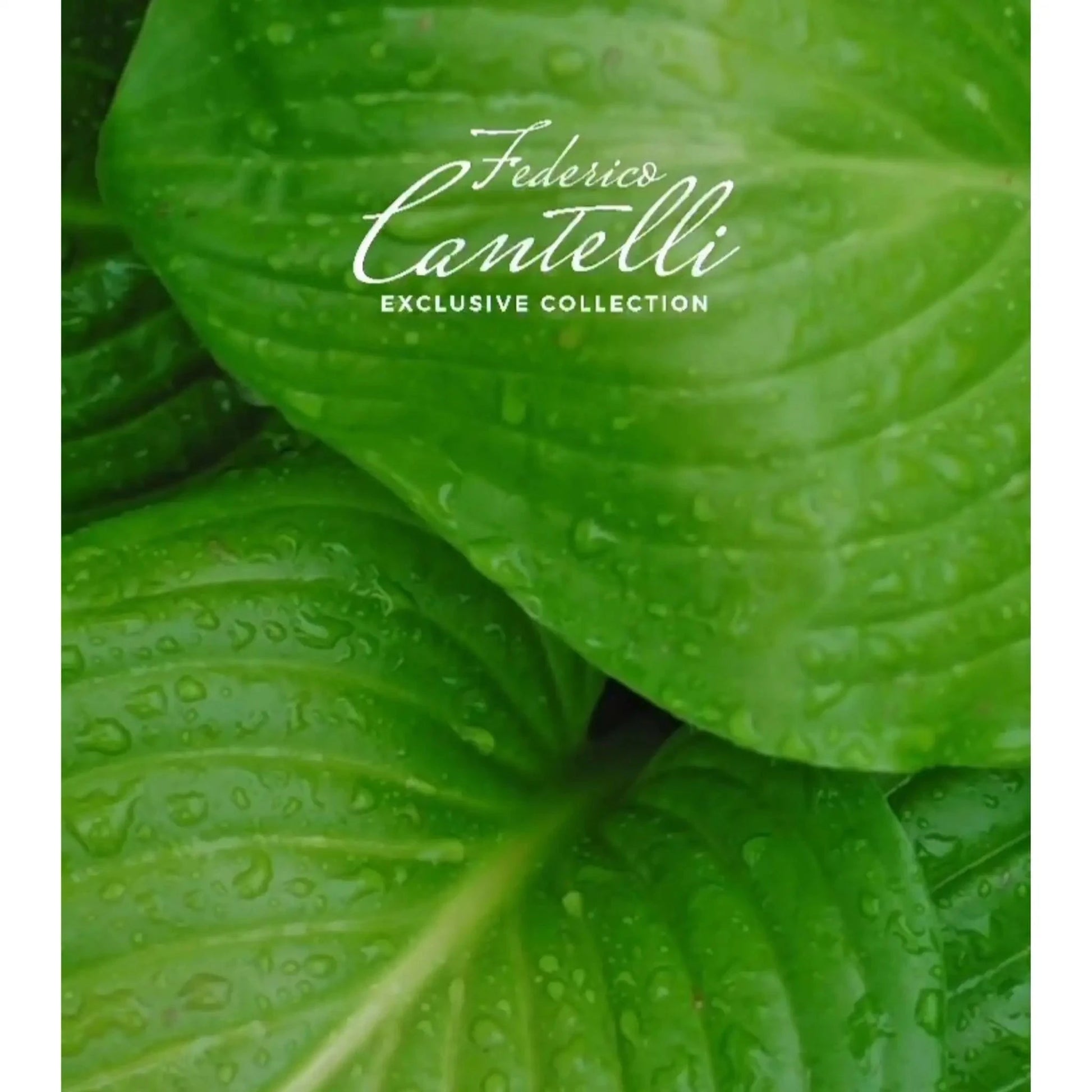 Federico Cantelli Mint Vibes Extrait de parfum 100 ml