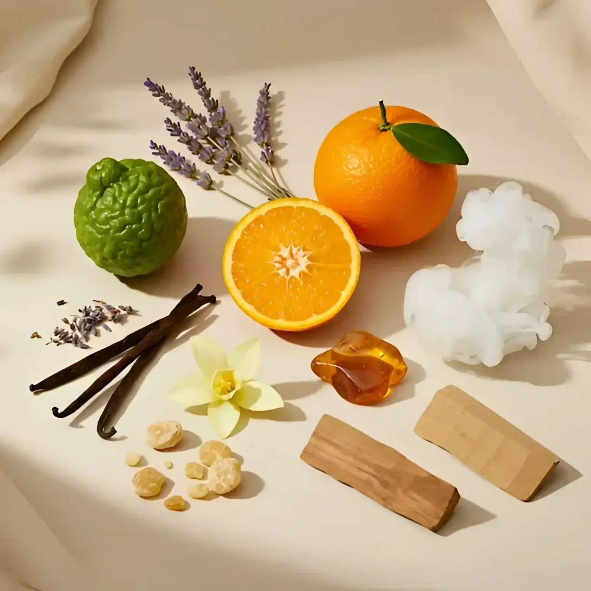 Frederic Malle Musc Ravageur eau de parfum 100 ml, 50 ml