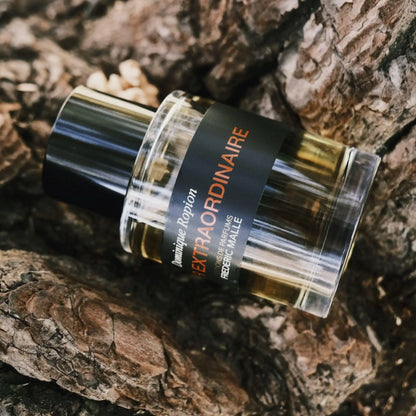 Frédéric malle Vétiver Extraordinaire eau de parfum 100 mi,