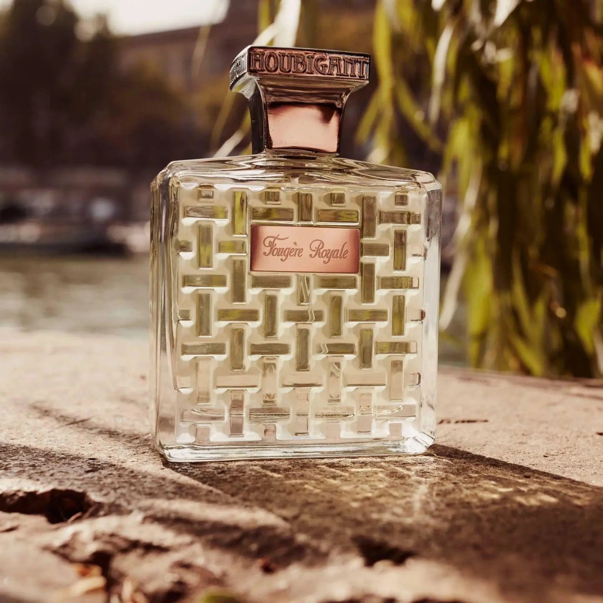 Houbigant Fougère Royale eau de parfum extrême 100 ml