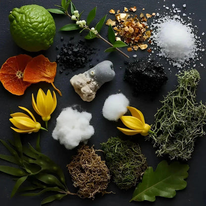 Lorenzo Pazzaglia Black Sea Extrait de parfum 50 ml