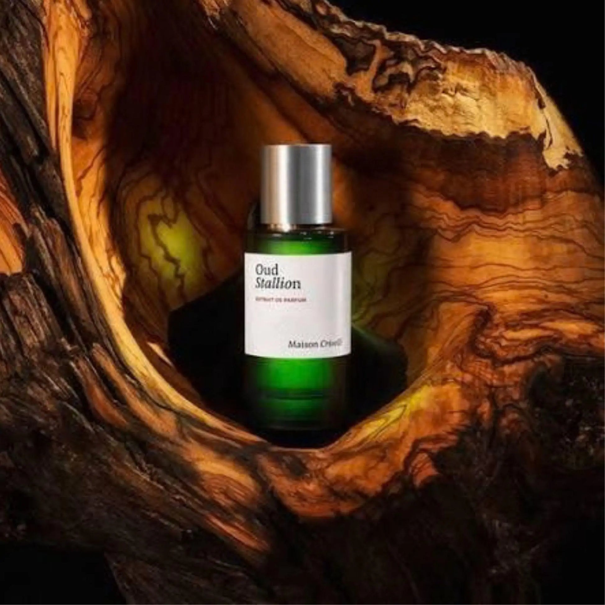 Maison Crivelli Oud Stallion extrait de parfum 100 ml