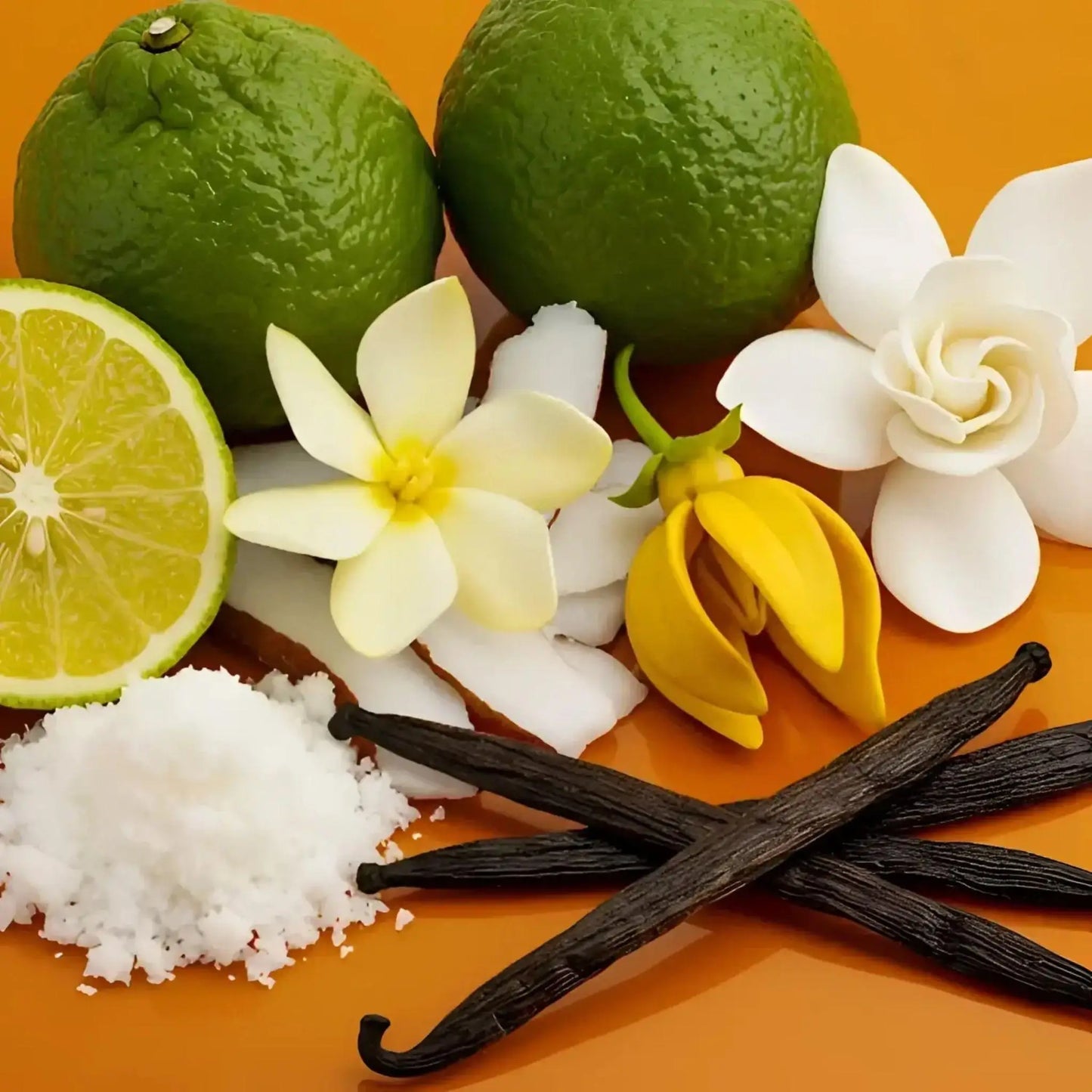 Maison Matine Bain de midi Eau de parfum 50 ml