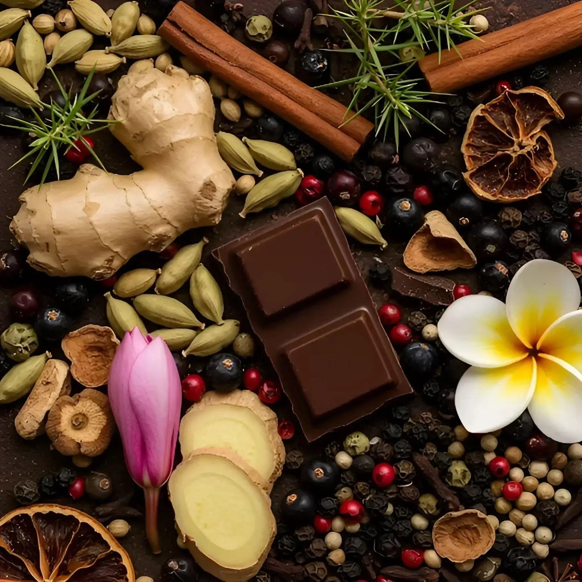 Maison Matine Into The Wild eau de parfum 50 ml