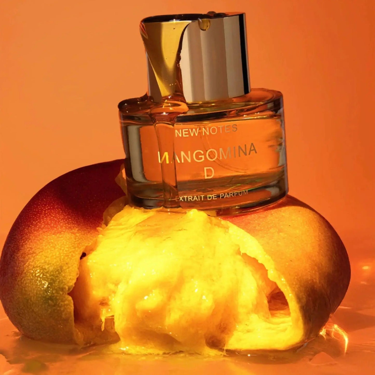New Notes Mangomina D extrait de parfum 60 ml