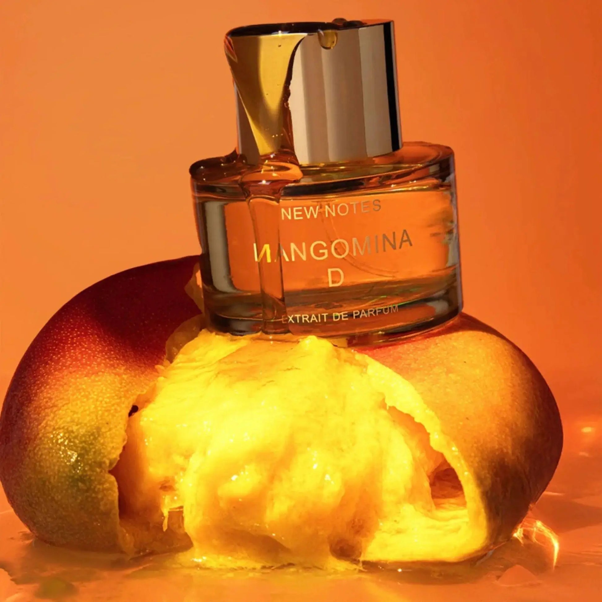 New Notes Mangomina D extrait de parfum 60 ml