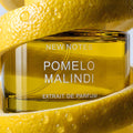New Notes Pomelo Malindi Extrait de Parfum — flacon enlace d'un zeste d'agrume, parfum hesperide boise solaire, parfumerie de niche italienne