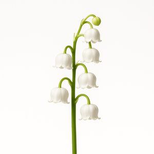 Muguet