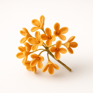 Osmanthus