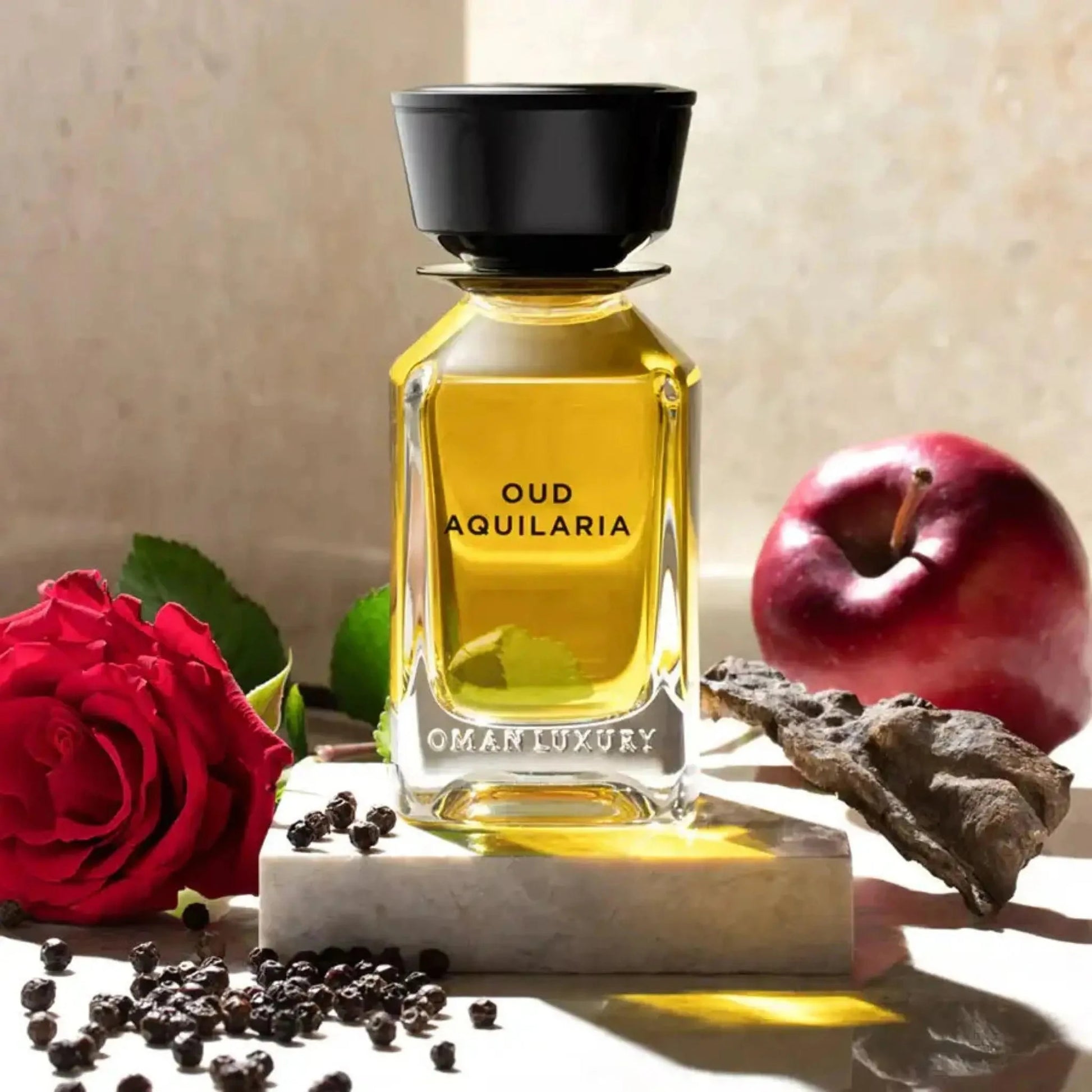 Oman luxury Oud Aquilaria eau de parfum 100 ml