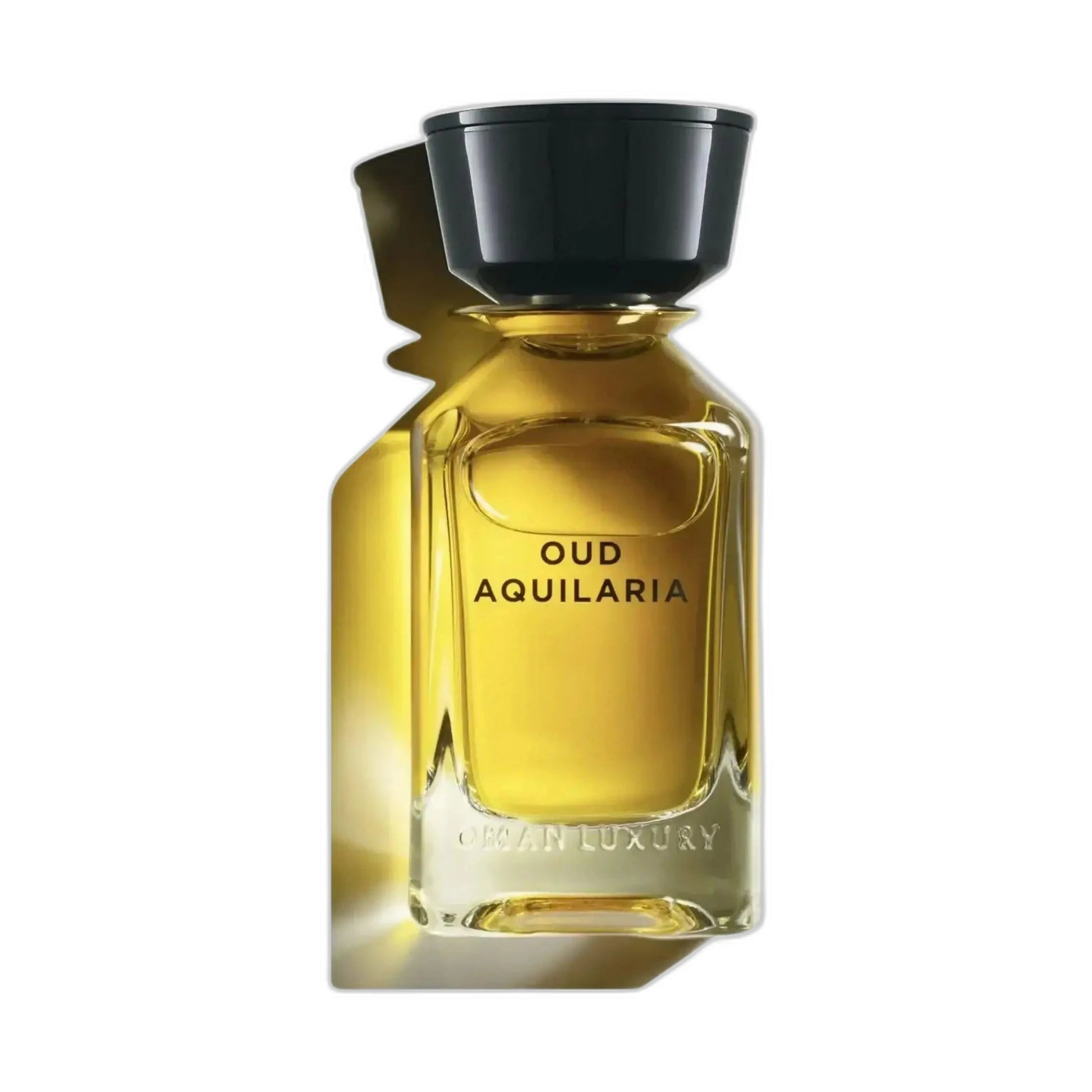 Oman luxury Oud Aquilaria eau de parfum 100 ml