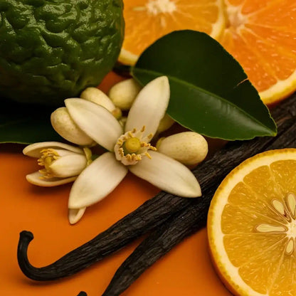 Profumum Roma Battito d’ali extrait de parfum 100 ml