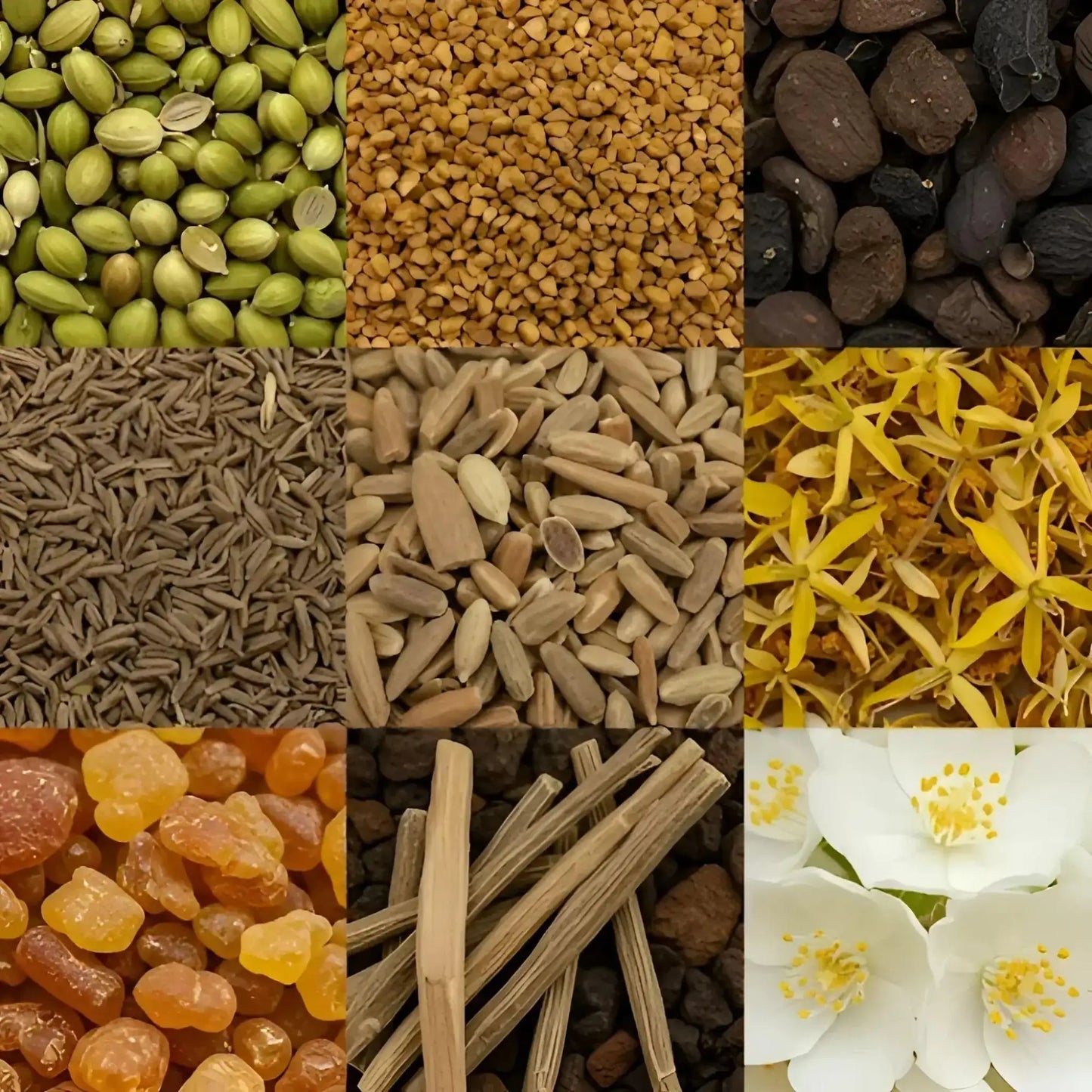 Tauer Au Coeur du Désert extrait de parfum 50 ml