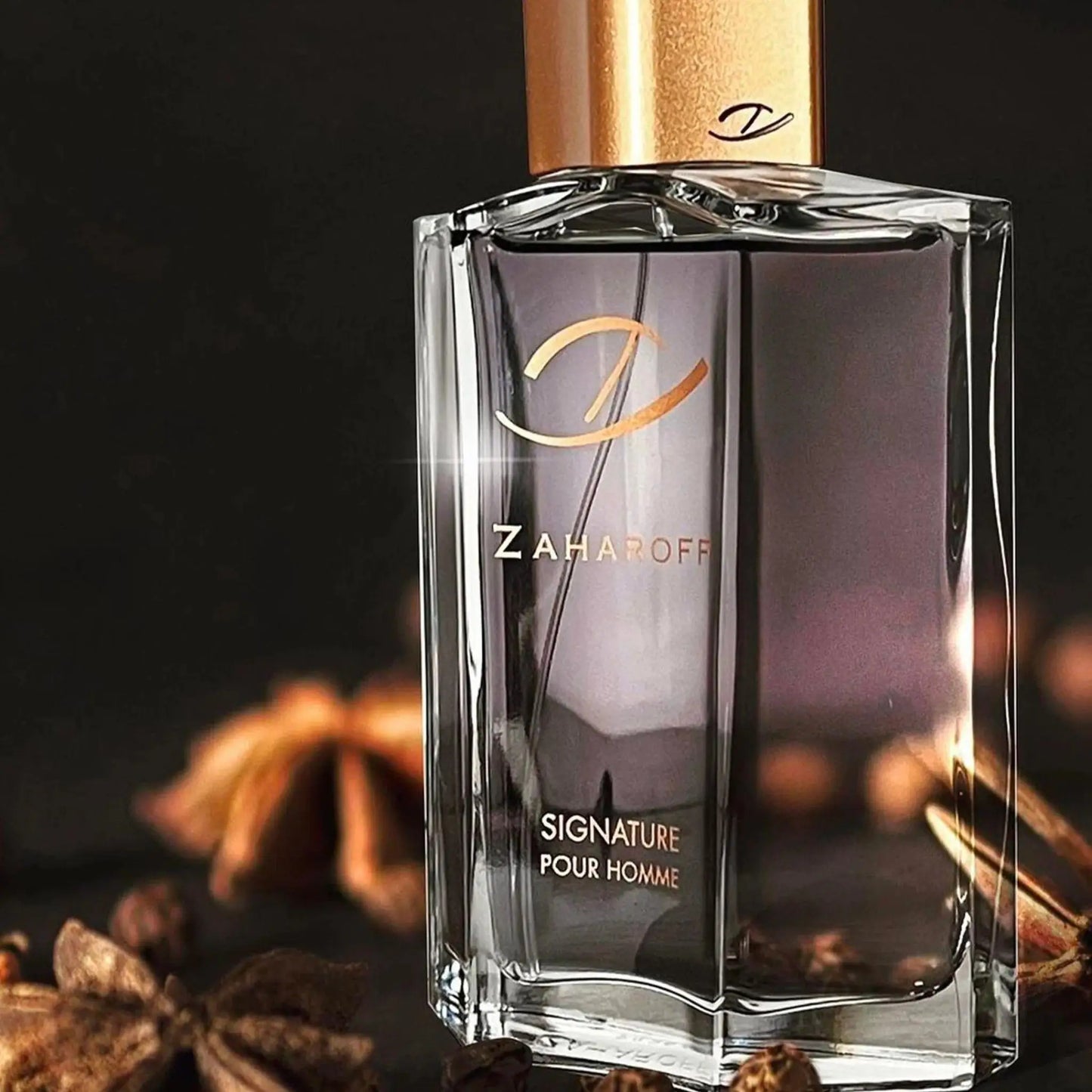 Zaharoff Signature pour Homme Eau de parfum 120 ml